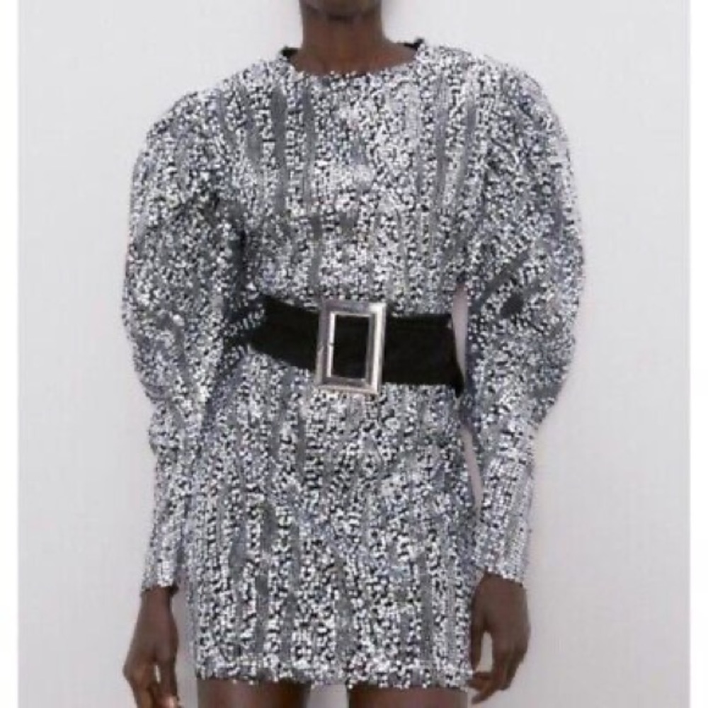 Zara White & Silver💎💎💎 Sequin Belted Mini Dress - Sz Large - NWT SALE - Picture 9 of 11